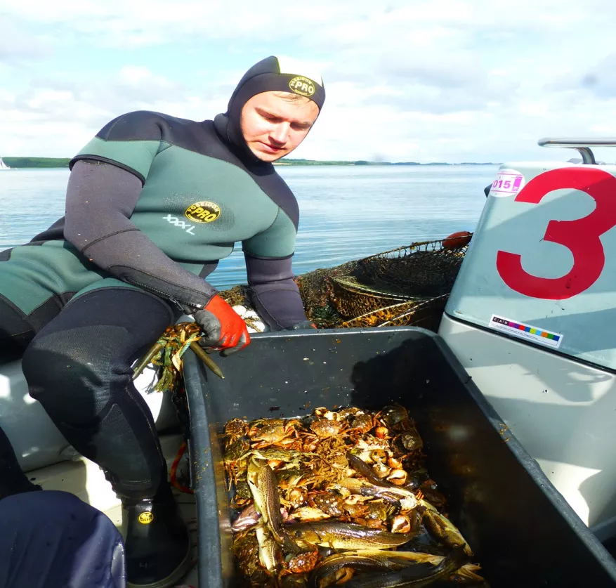 Bycatch from ghost nets. 