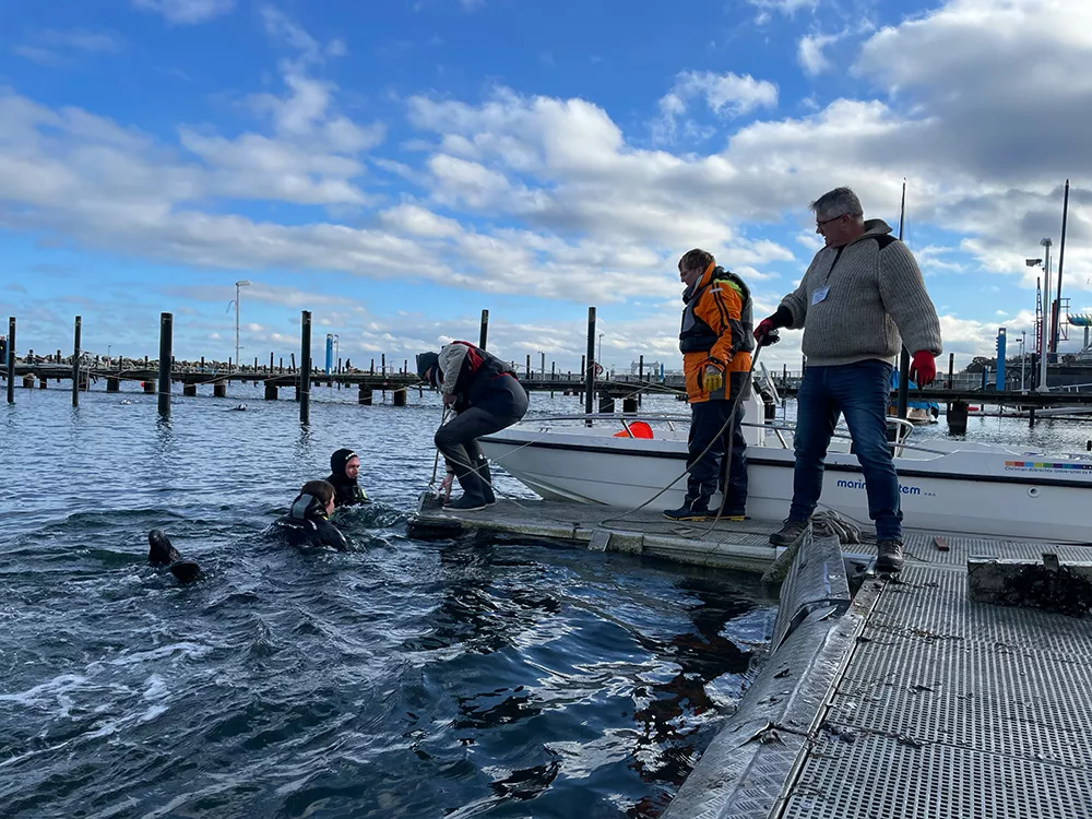 Cleanup nach Sturmflut