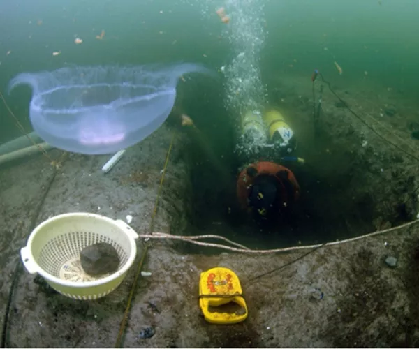 Knochenfunde in Heiligenhafen